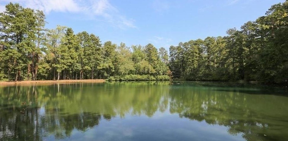 10410 Groomsbridge Rd, Alpharetta GA 30022-6029 exterior