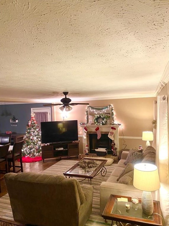 244 Carter St, Clermont, GA 30527-1762