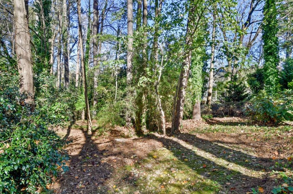 3803 Watkins Pl, Atlanta GA  30319-1828 exterior