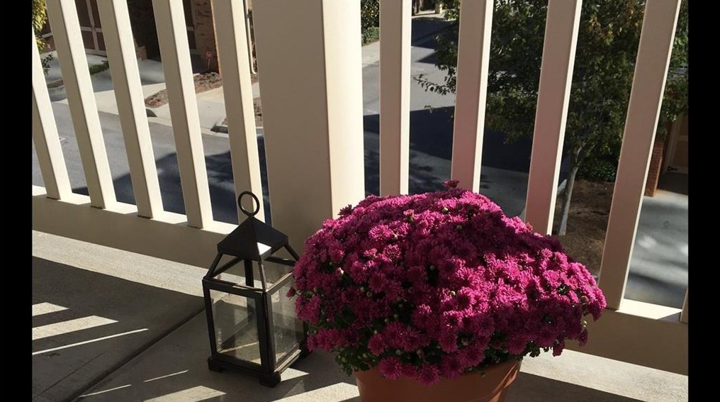 812 Perimeter Walk, Atlanta GA  30338-4784 exterior