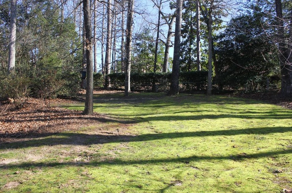 7255 Wynhill Dr, Atlanta, GA 30328-1317