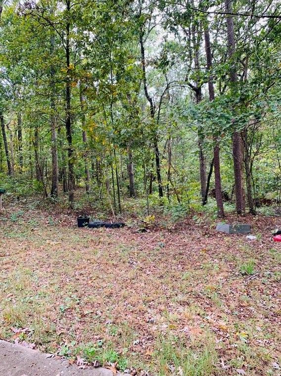 288 Rolling Ridge Rd, Mount Airy, GA 30563