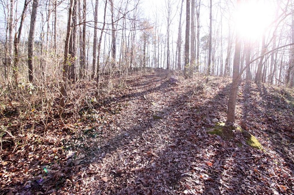 263 Hickory Gap Trl, Dallas GA  30157-5353 exterior