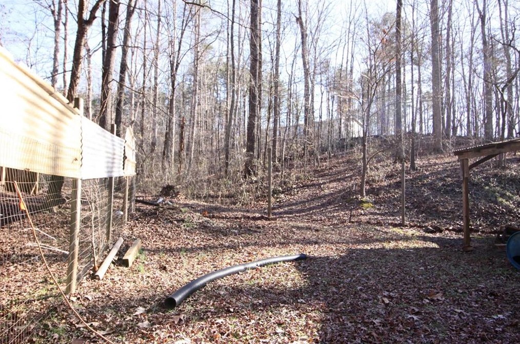 263 Hickory Gap Trl, Dallas GA  30157-5353 exterior