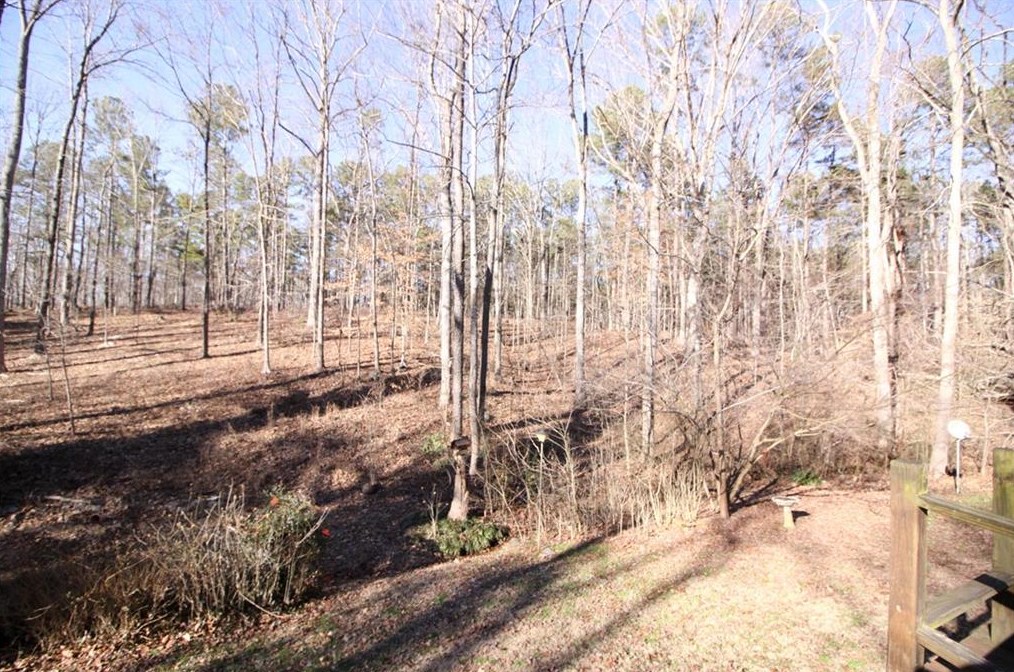 263 Hickory Gap Trl, Dallas GA  30157-5353 exterior