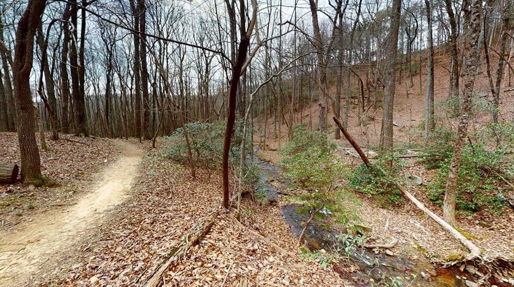 2036 Valley View Dr, Big Canoe, GA 30143