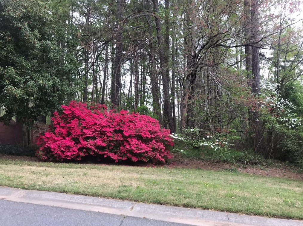 158 Stanbrough Dr, Dallas, GA 30157-6501