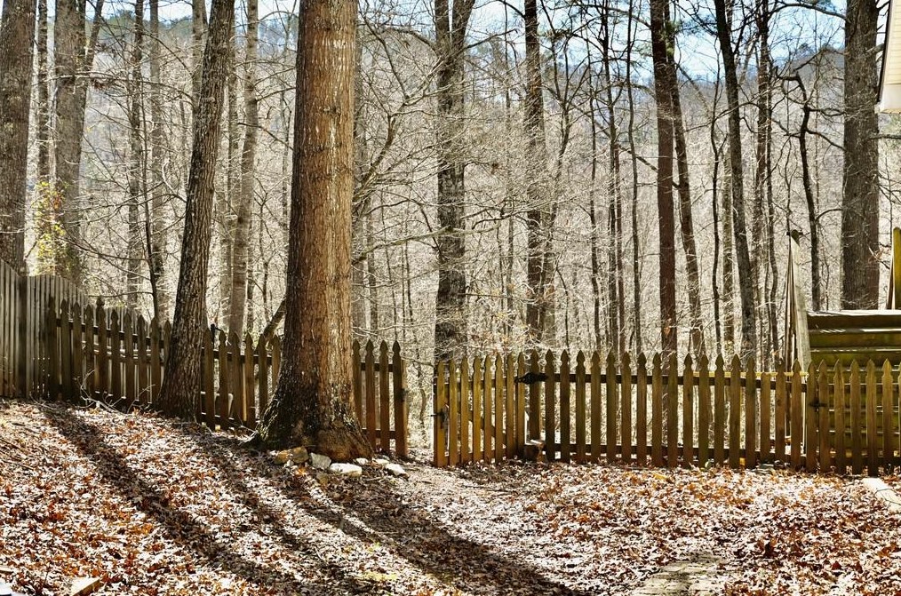 557 Victorian Cir, Dallas GA 30157-8250 exterior