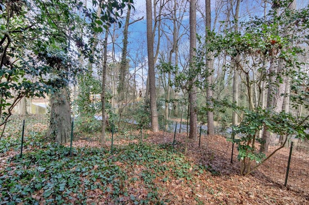 1902 Shenandoah Vly Ln, Smyrna GA  30080-8108 exterior