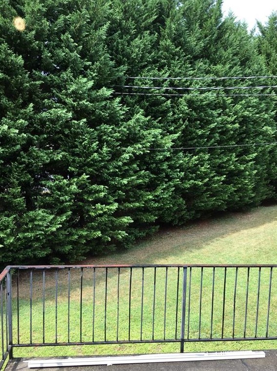393 Stone Mountain St, Lawrenceville GA  30046-8419 exterior