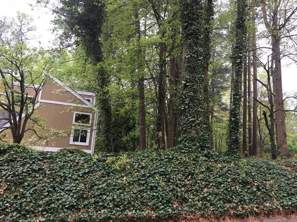 3467 Cobbs Ferry Dr, Decatur, GA 30032-4672