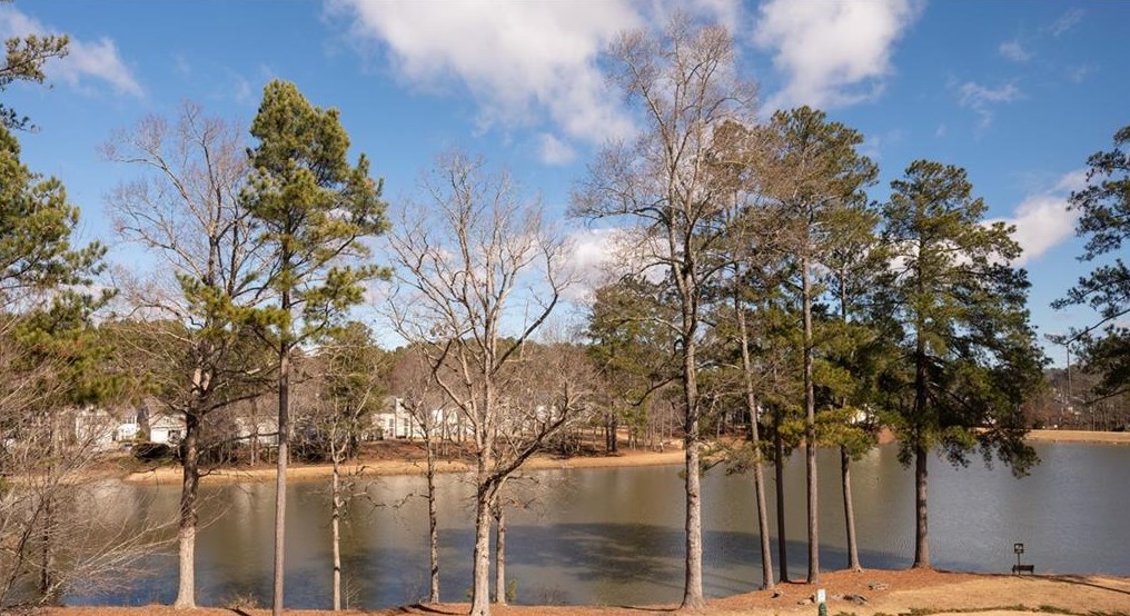 3403 Lathenview Ct, Alpharetta, GA 30004-8914