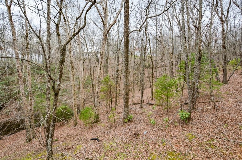 126 Colt Ct, Big Canoe GA  30143-0032 exterior