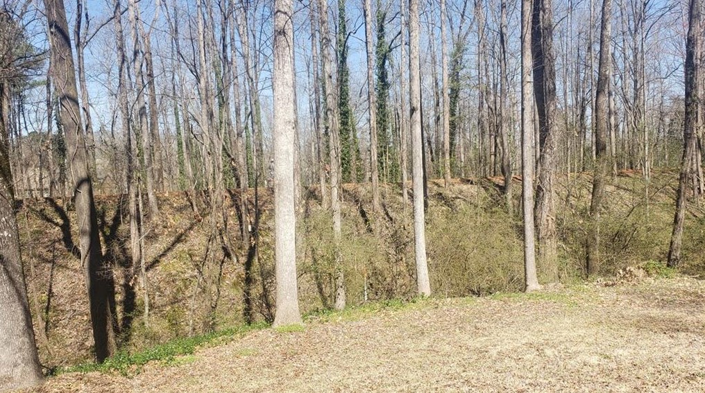 4290 Gregory Ln, Smyrna GA  30082-4427 exterior