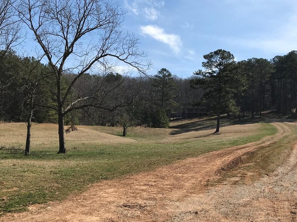 420 Roy Rd, Lindale, GA 30147-1900