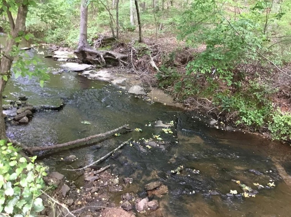 1659 Laurel Ridge Ln, Lawrenceville, GA 30043-3007