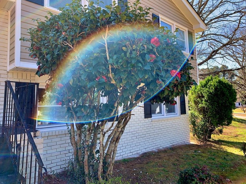 1461 Timms Cir, Atlanta GA  30316-3423 exterior