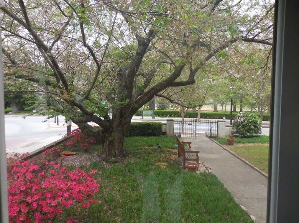 1156 Piedmont Ave Ne Apt A4, Atlanta, GA 30309