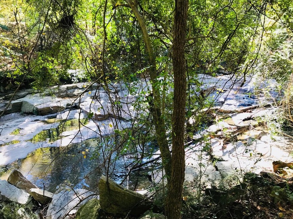 220 Semel Cir, Atlanta GA  30309-1930 exterior