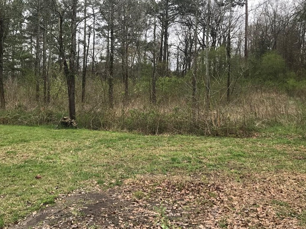 4801 Red Bud Rd, Calhoun GA 30701-9626 exterior