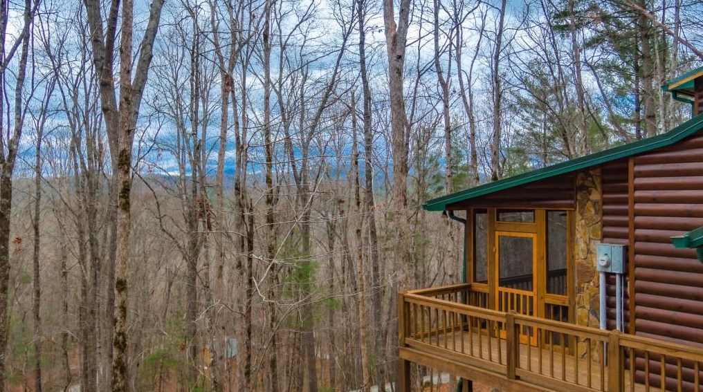68 Grice Woods Rd, Blue Ridge, GA 30513-5784