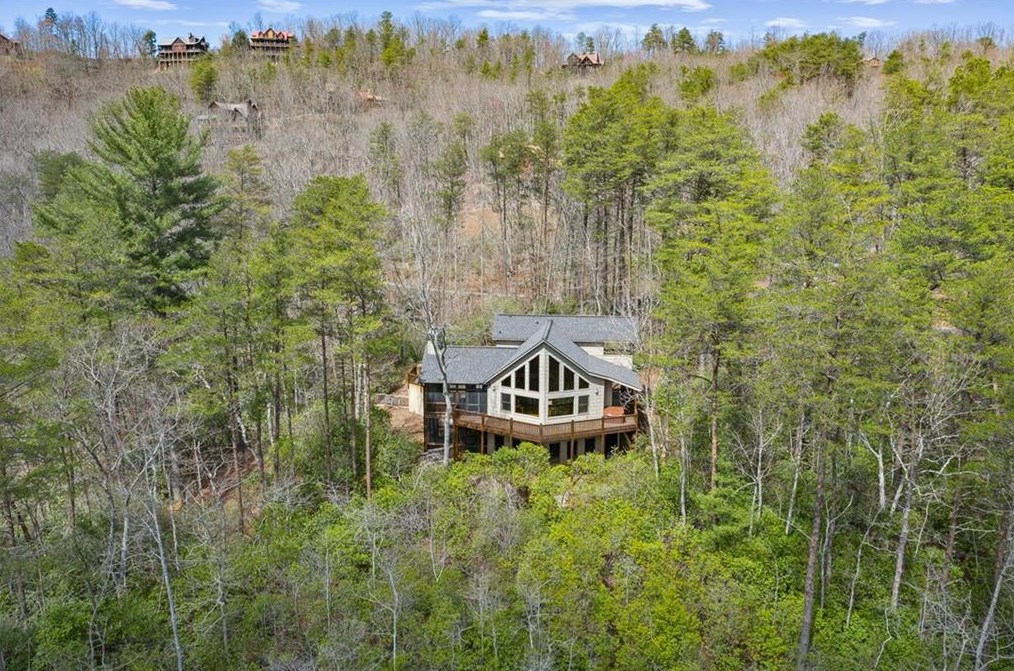 435 Birdseye Vw, Blue Ridge, GA 30513-5613