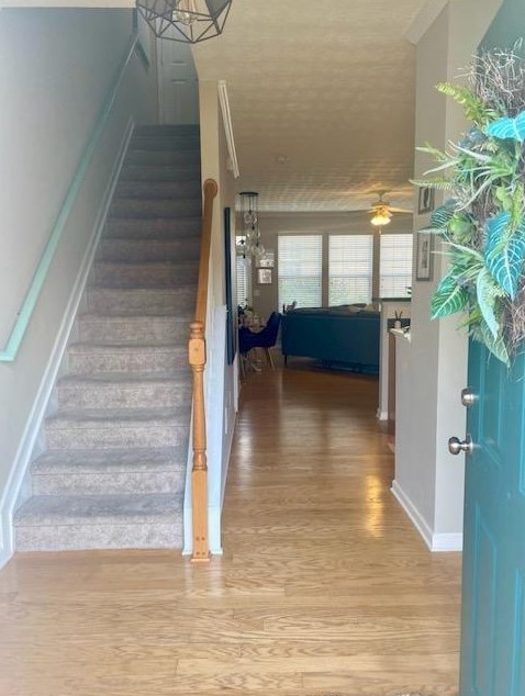 1513 Paramount Ln, Buford, GA 30518