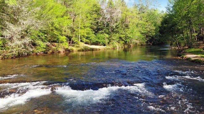 446 White Pine Dr, Dahlonega, GA 30533