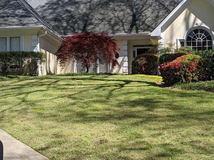 3331 Sundew Ct, Alpharetta, GA 30005