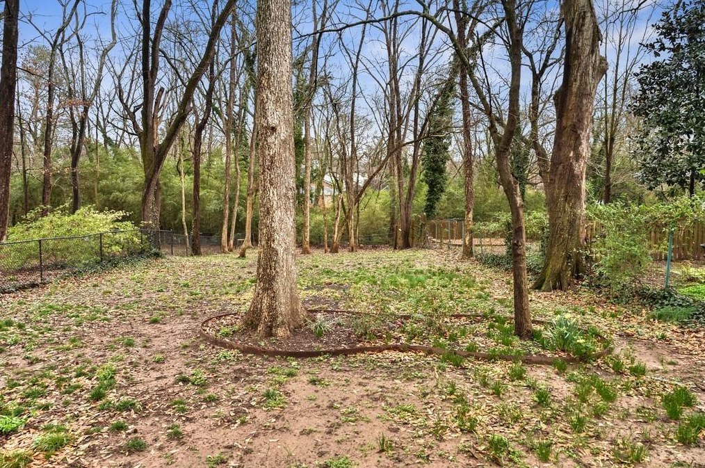 81 Rockyford Rd, Atlanta GA  30317-1339 exterior