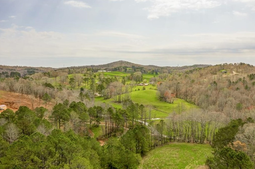 1681 4 Mile Church Rd, Ball Ground, GA 30107