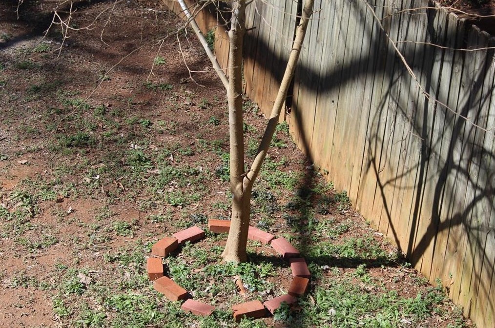 1775 Timber Valley Way, Smyrna GA  30080-8110 exterior