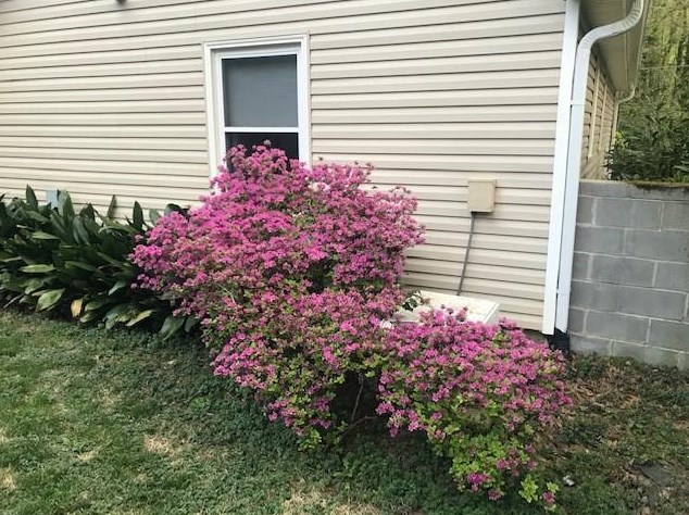 3220 Valaire Dr, Decatur GA 30033-3351 exterior