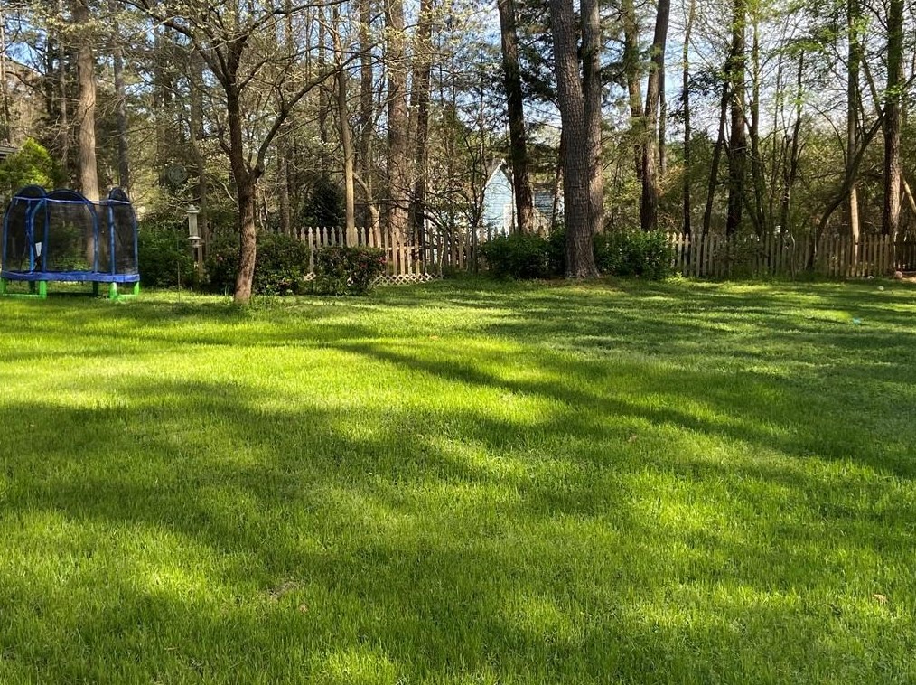 3980 Brittan Glade Trl, Lithonia GA  30039-8716 exterior