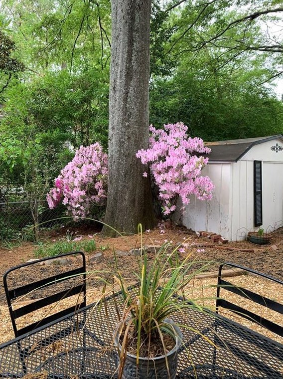 2322 Poplar Springs Dr, Atlanta GA  30319-3942 exterior