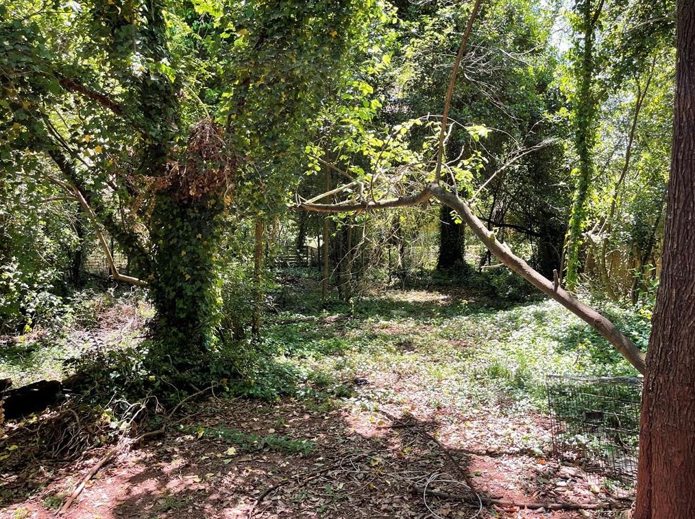 2807 Oakland Ter, Decatur GA  30032-5518 exterior