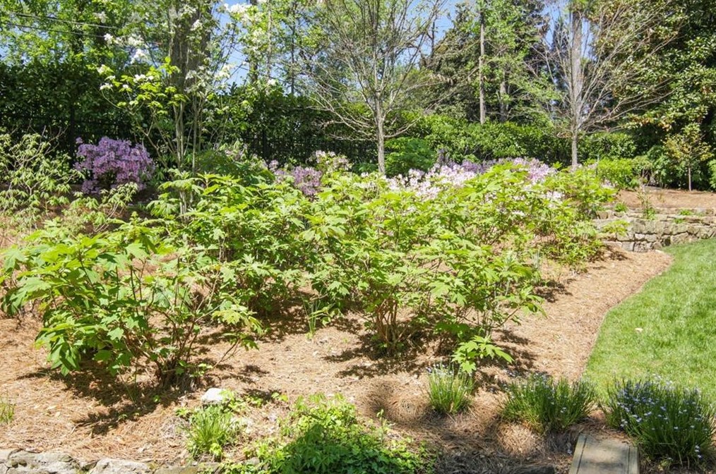 2841 Vernon Rd, Atlanta GA  30305-2934 exterior