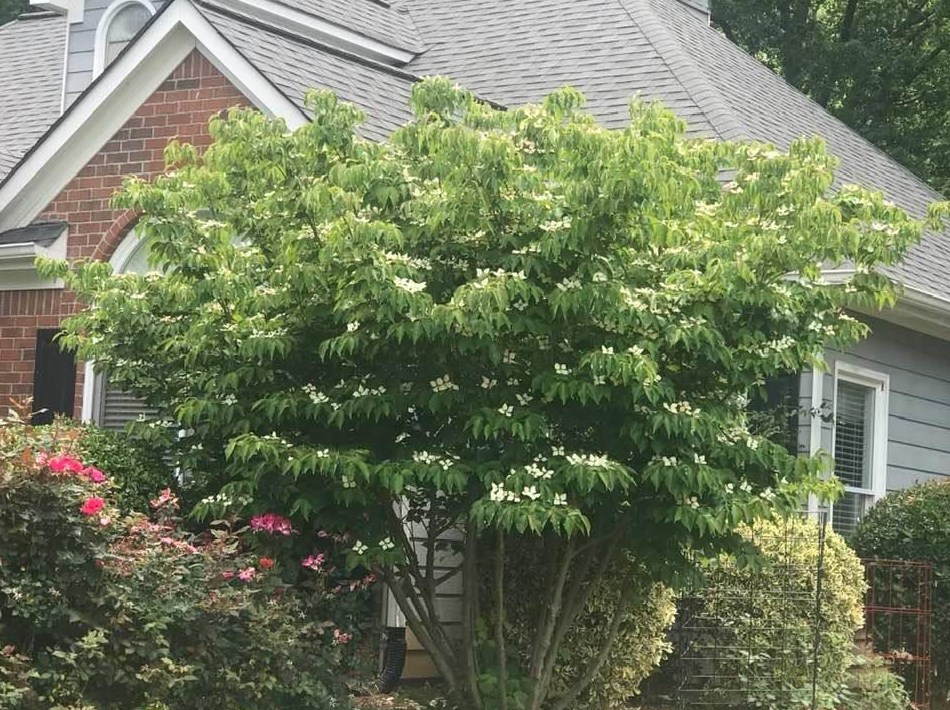180 Sentry Rdg, Dallas, GA 30157-7925