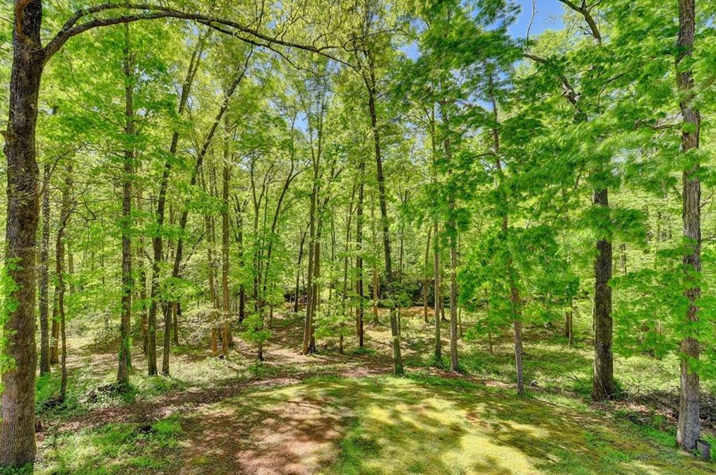 4461 Dogwood Farms Dr, Decatur GA  30034-6305 exterior