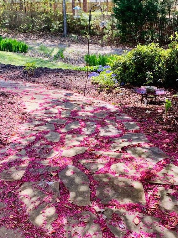 84 Hasty Path, Dallas GA  30157-8107 exterior