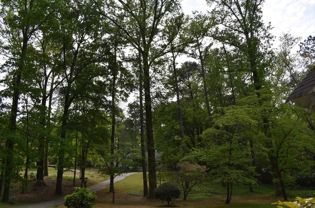 705 Old Post Rd, Atlanta, GA 30328-4758