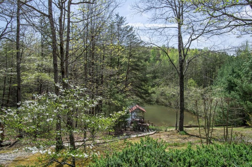 1148 Sweetwater Dr, Clarkesville, GA 30523