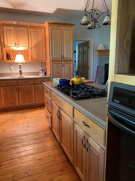 266 Christy Ln, Dahlonega, GA 30533