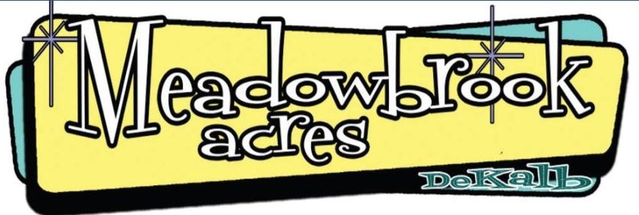 3127 Beech Dr, Decatur GA 30032-2400 exterior