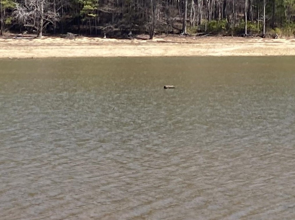 24 Waters Edge Dr, Acworth, GA 30102-2990