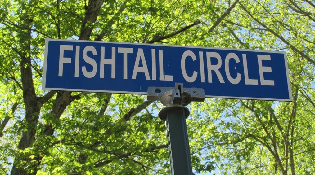 96 Fishtail Circle, Cleveland, GA 30528