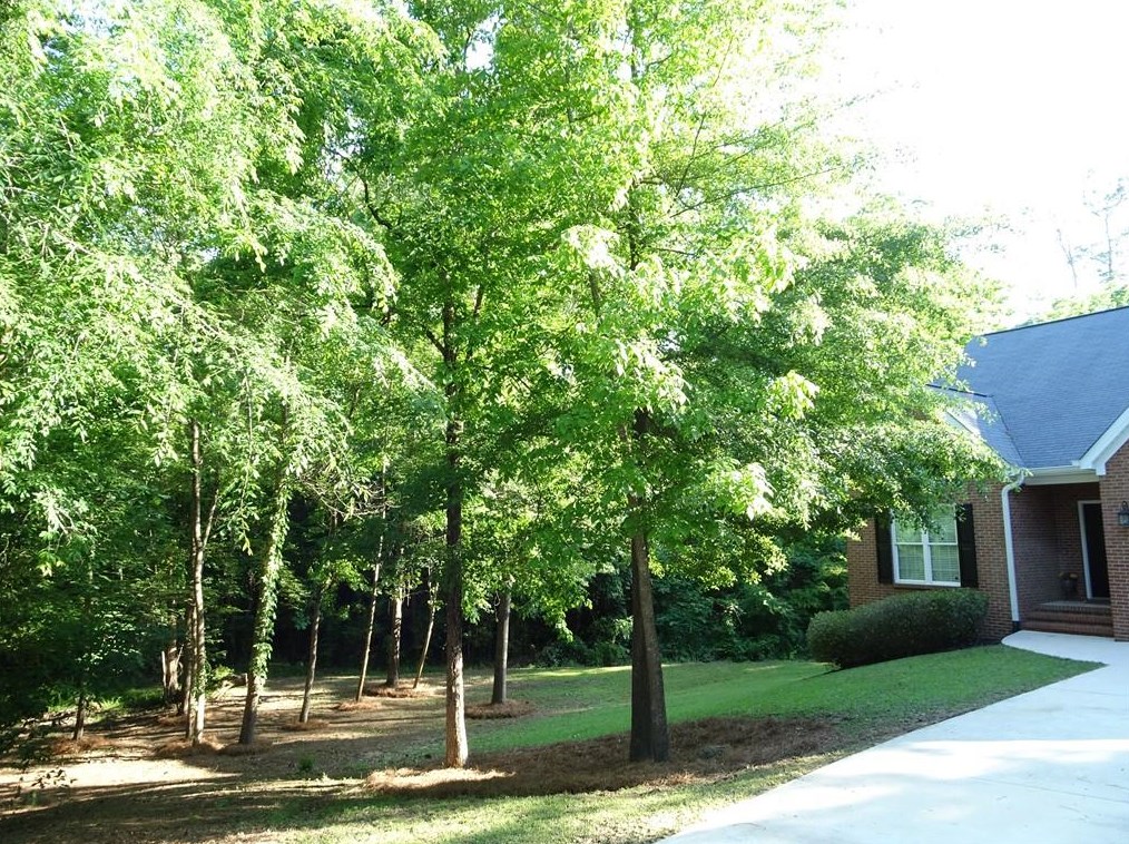 702 Captain Kell Dr, Macon, GA 31204-1506