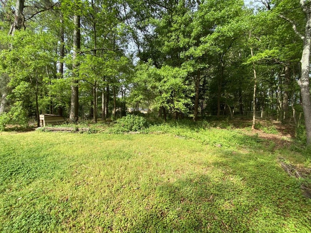 315 Trickum Hills Way, Holly Springs, GA 30188