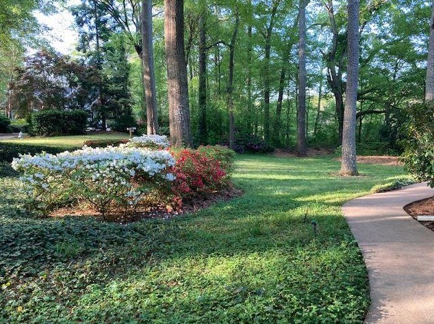 135 River Hollow Ct, Duluth, GA 30097
