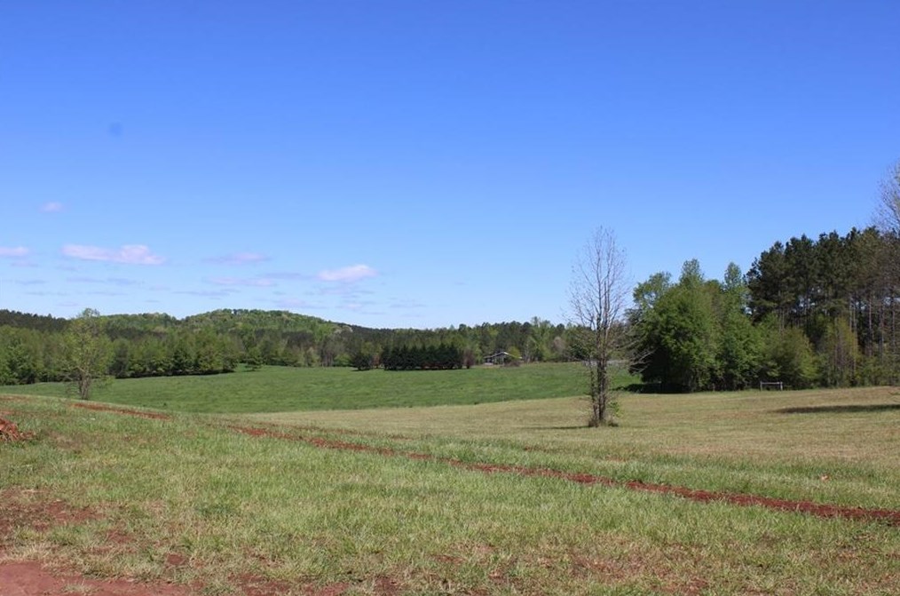 1035 Mcfarlin Bridge Rd, Carnesville, GA 30521